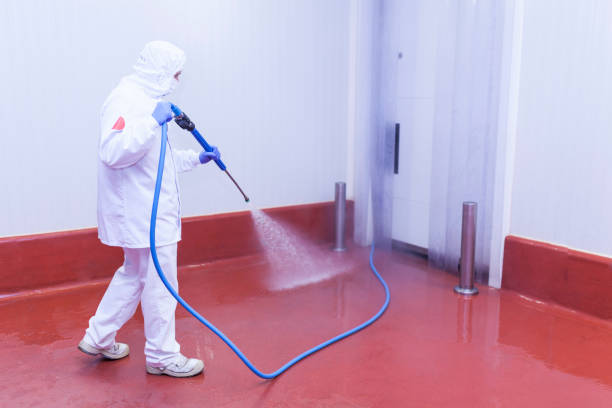 Best Rust Removal  in Crossett, AR